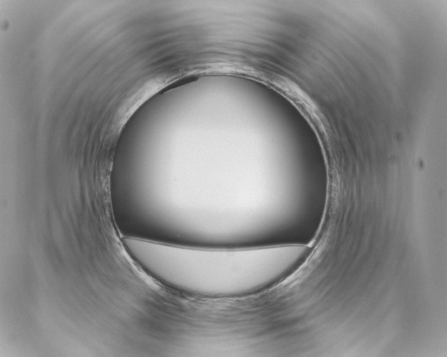 X0000087031385200704161350
