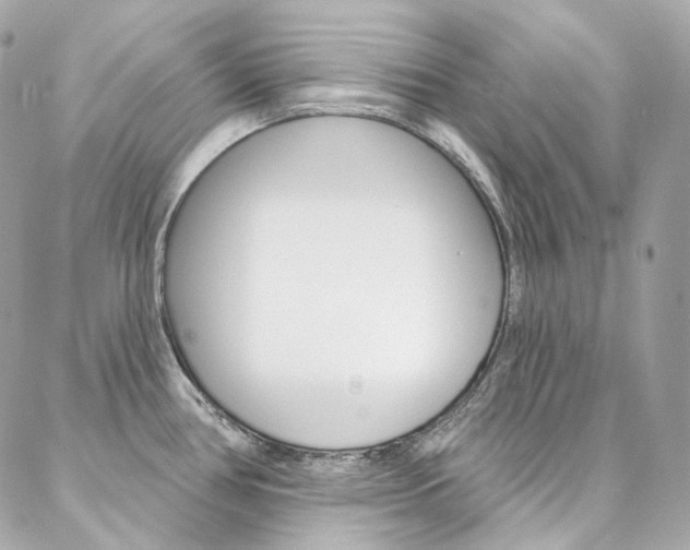 X0000087031386200704161350