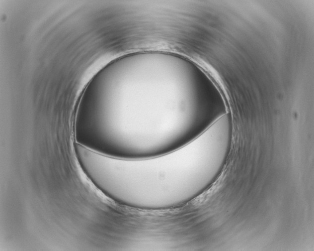 X0000087031389200704161350