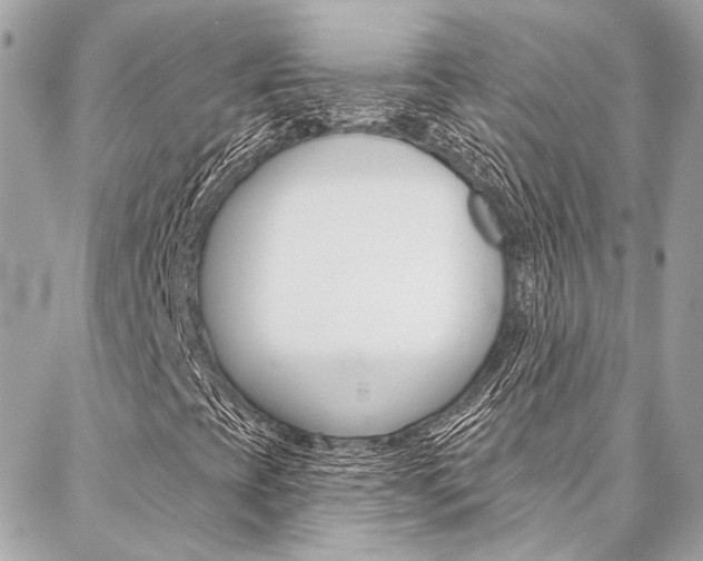 X0000087031393200704161349