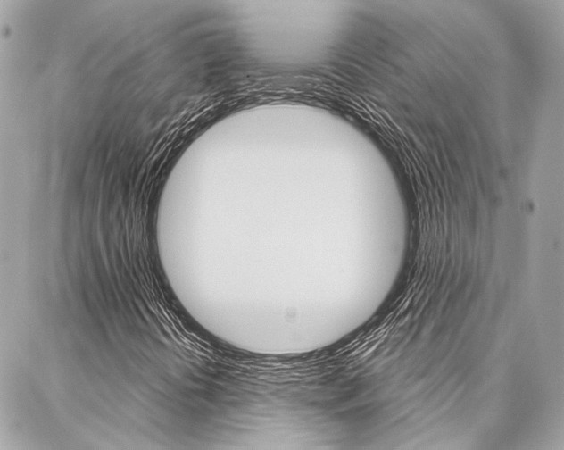 X0000087031394200704161349