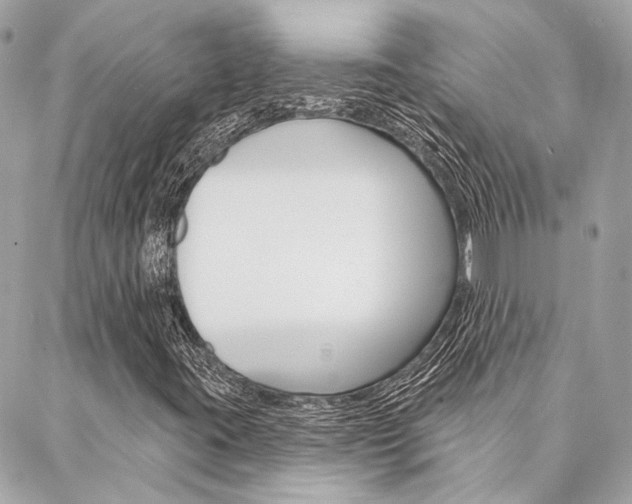X0000087031395200704161349