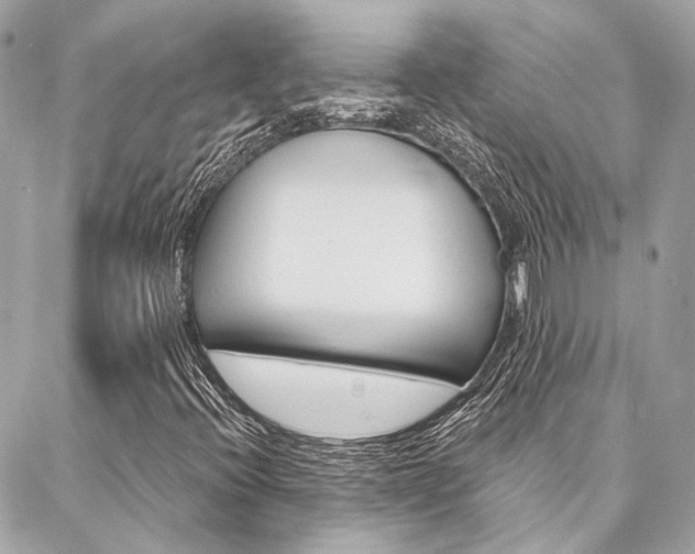 X0000087031396200704161349