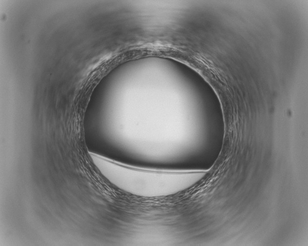 X0000087031398200704161349