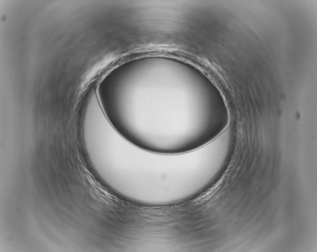 X0000087031406200704161349