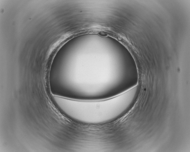 X0000087031410200704161349