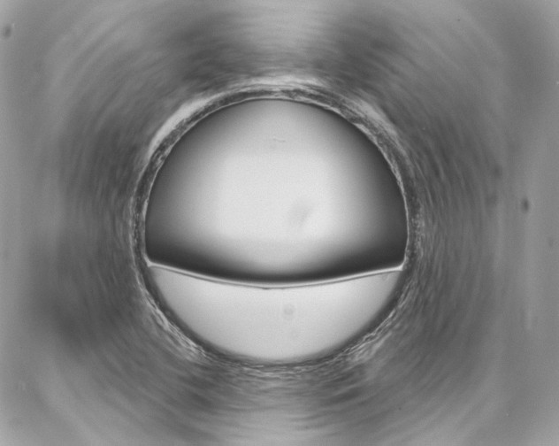 X0000087031412200704161349