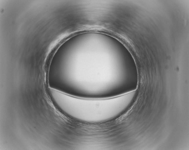 X0000087031414200704161349