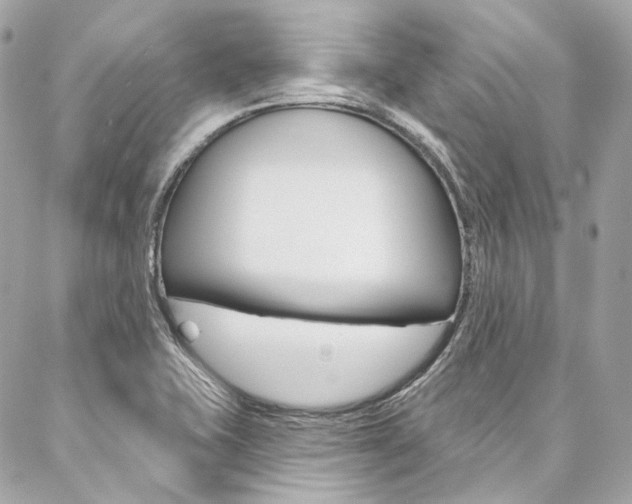 X0000087031415200704161349