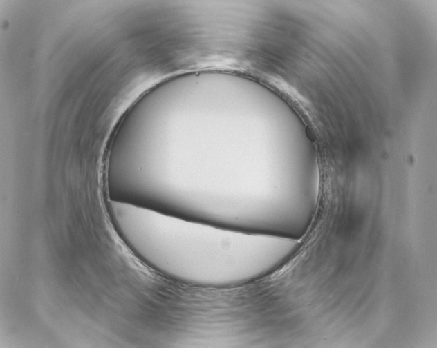 X0000087031423200704161349