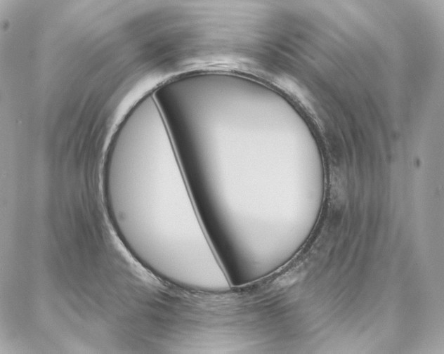 X0000087031424200704161349