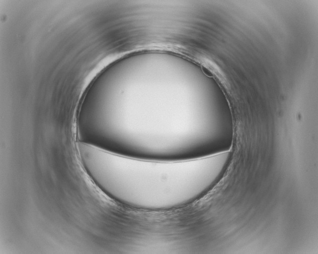 X0000087031428200704161349