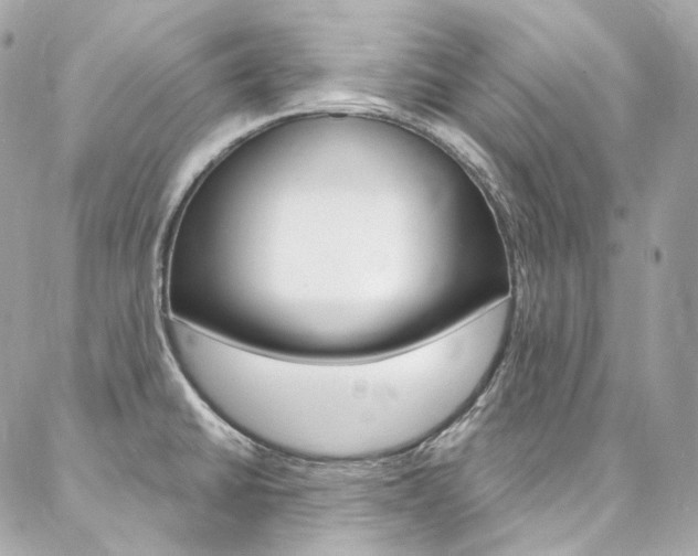 X0000087031430200704161349