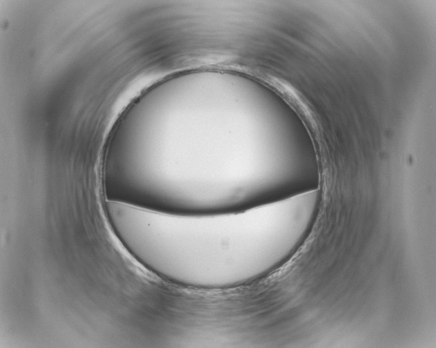 X0000087031432200704161349