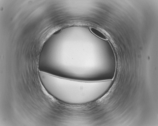 X0000087031433200704161350