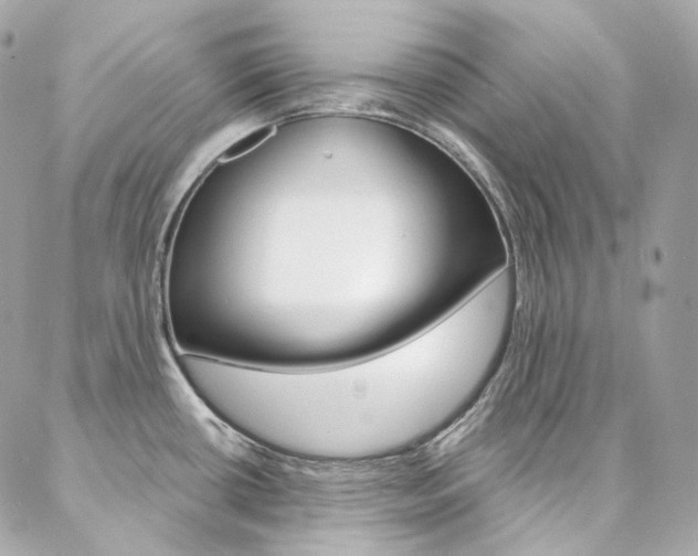 X0000087031434200704161350