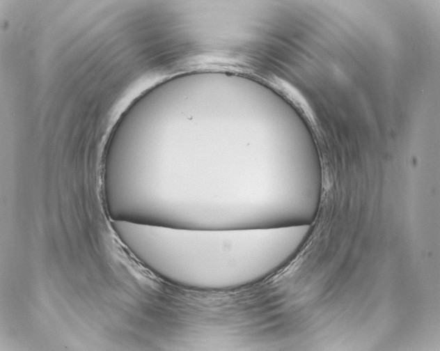 X0000087031435200704161350