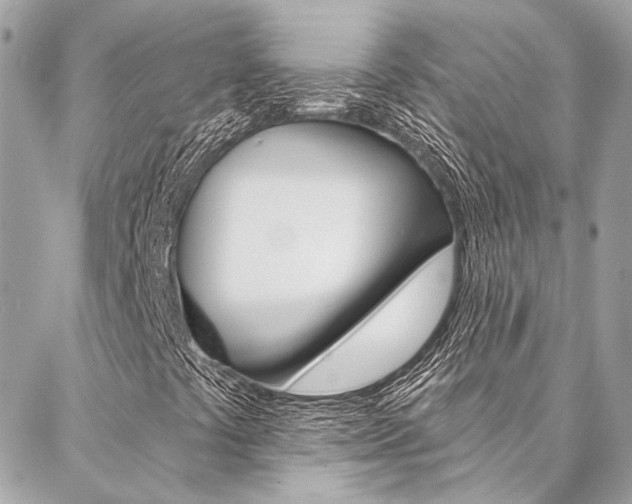 X0000087031441200704161349