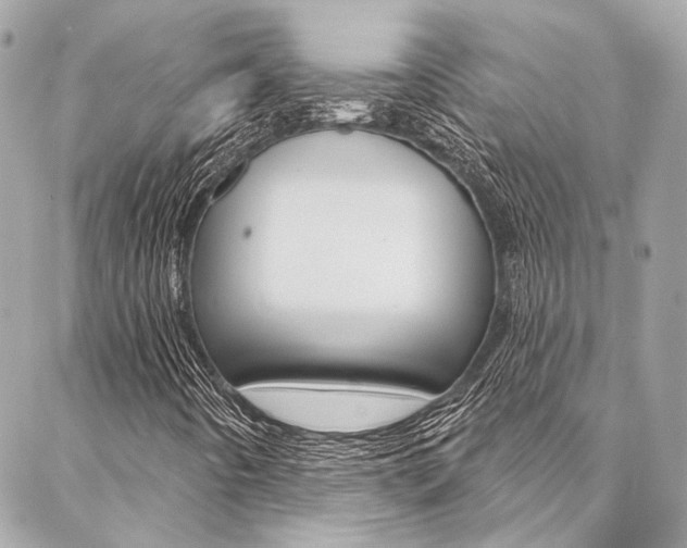 X0000087031442200704161349