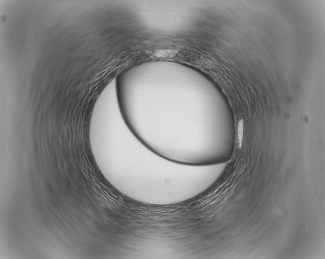 X0000087031443200704161349