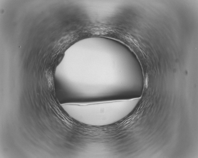 X0000087031444200704161349