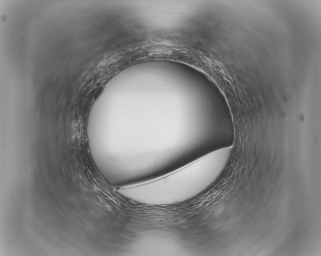 X0000087031445200704161349