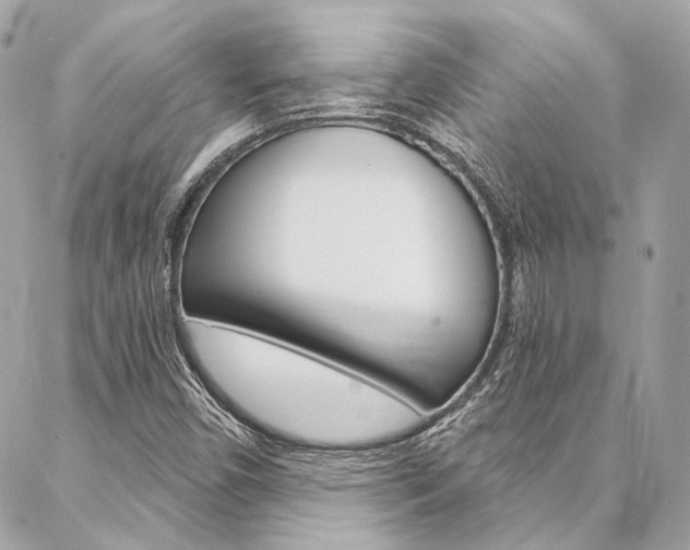 X0000087031450200704161349