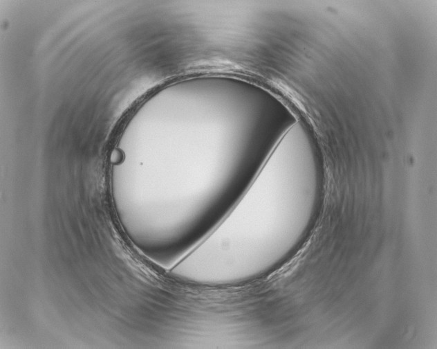 X0000087031458200704161349