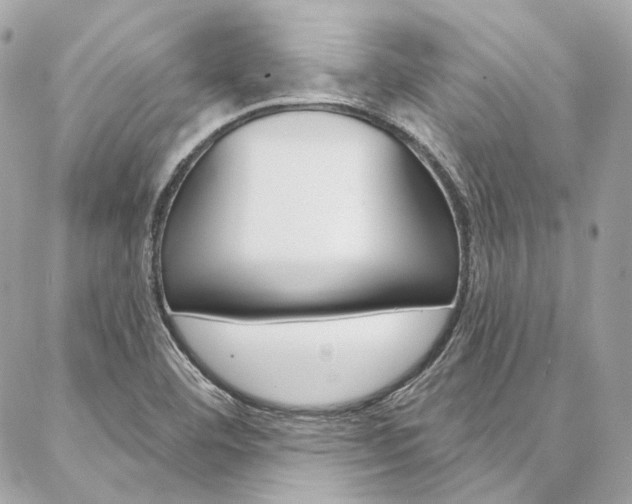 X0000087031460200704161349