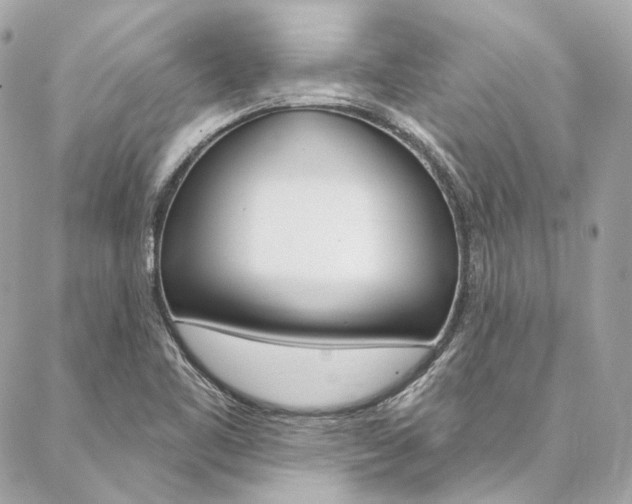 X0000087031461200704161349