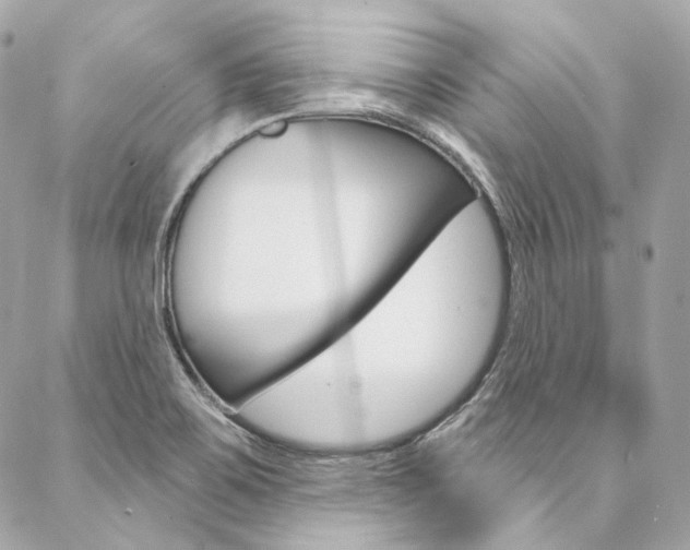X0000087031467200704161348