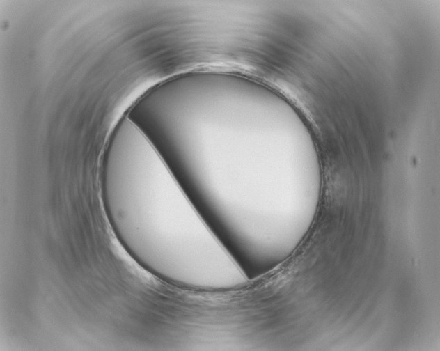 X0000087031476200704161348