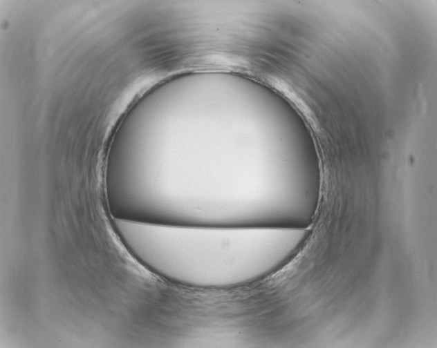 X0000087031477200704161348