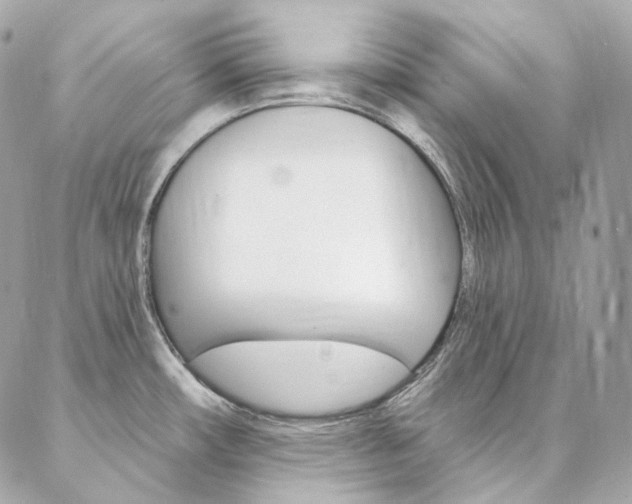 X0000087031482200704161348