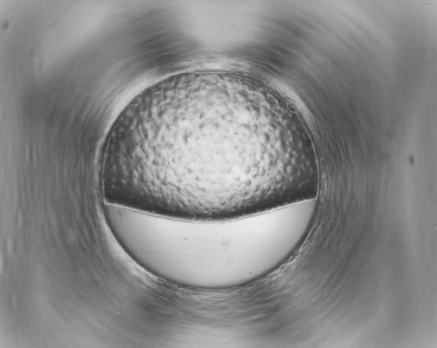 X0000087031483200704161348