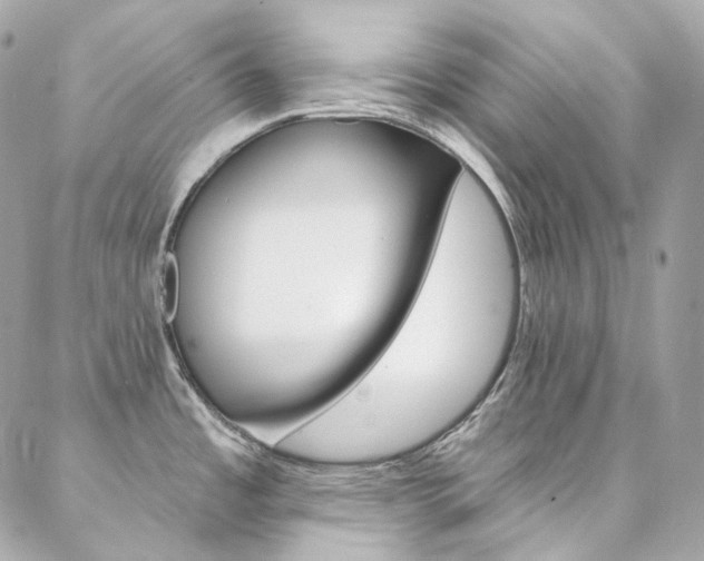 X0000087031485200704161348