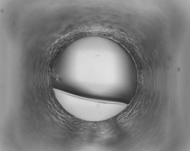 X0000087031493200704161347