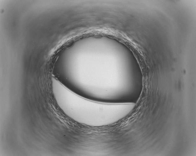 X0000087031496200704161347