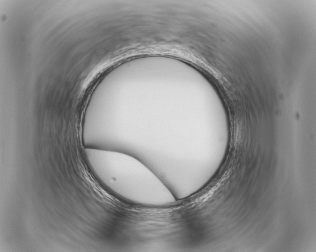 X0000087031498200704161347