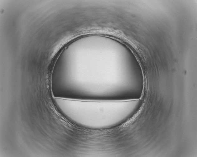 X0000087031501200704161348