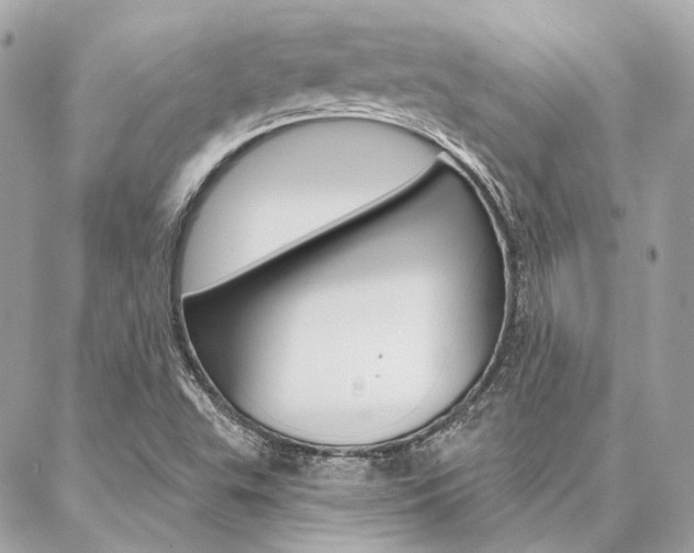 X0000087031503200704161348