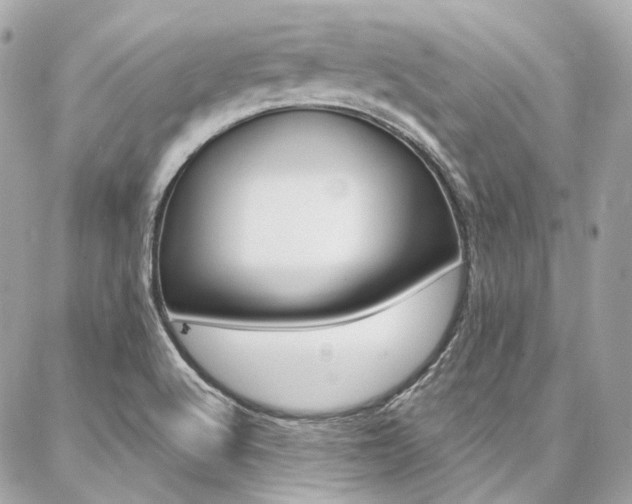 X0000087031512200704161348
