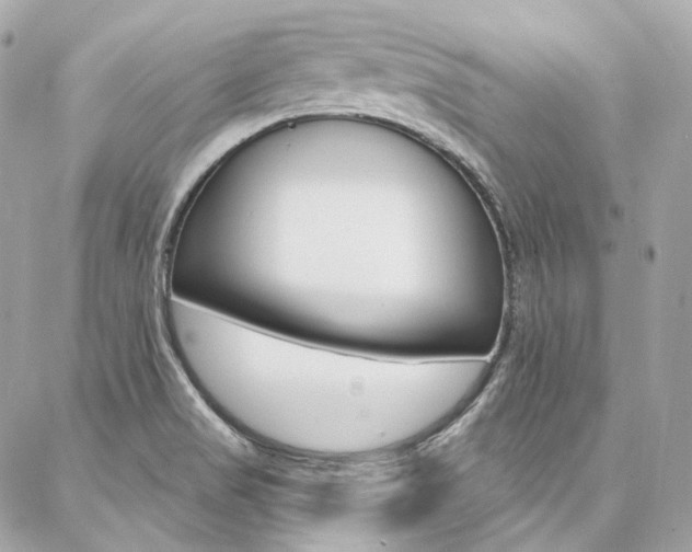 X0000087031517200704161348
