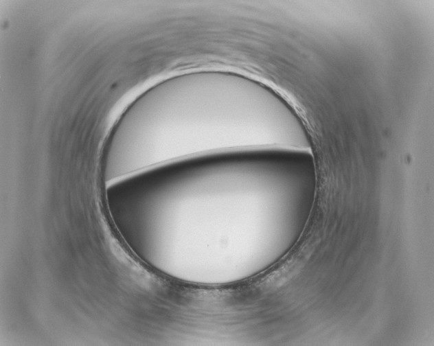 X0000087031518200704161348