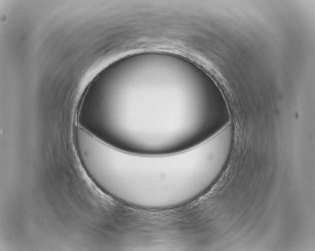 X0000087031520200704161348
