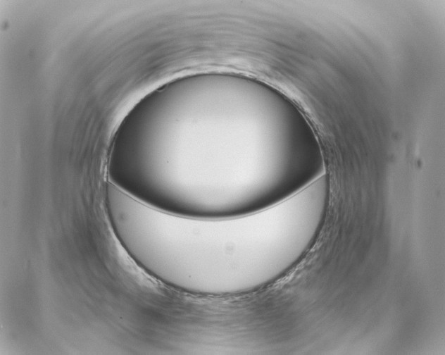 X0000087031524200704161348