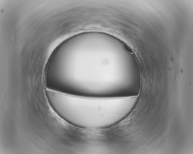 X0000087031527200704161348