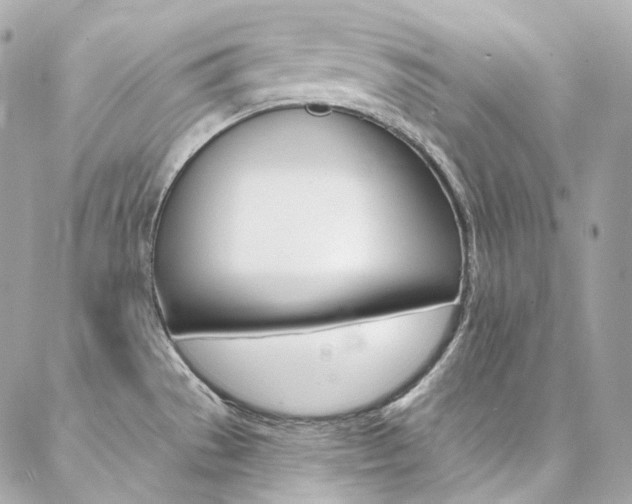 X0000087031529200704161348