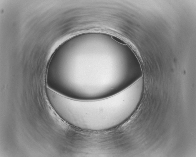 X0000087031530200704161348