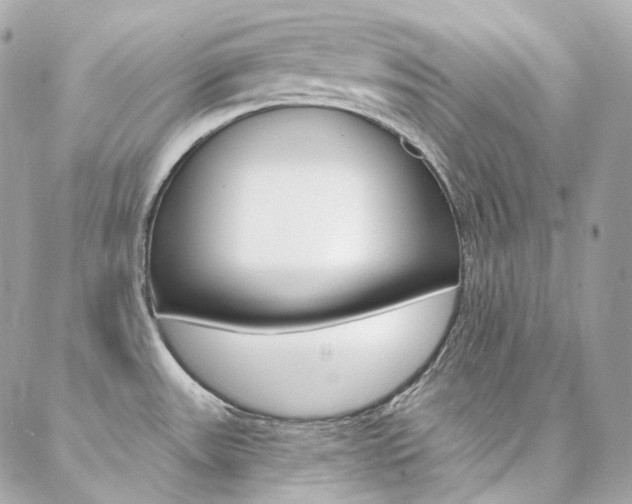 X0000087031531200704161348